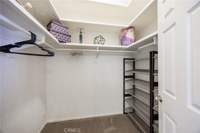 34101 Via California Unit 12, San Juan Capistrano, CA 92675 - walk in closet with carpet