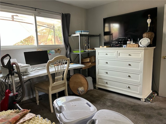 161 Janet Ave, Grover Beach, CA 93433 - office featuring dark carpet
