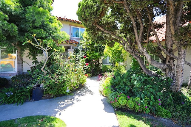 13905 Magnolia St, Garden Grove, CA 92844 - view of property's community