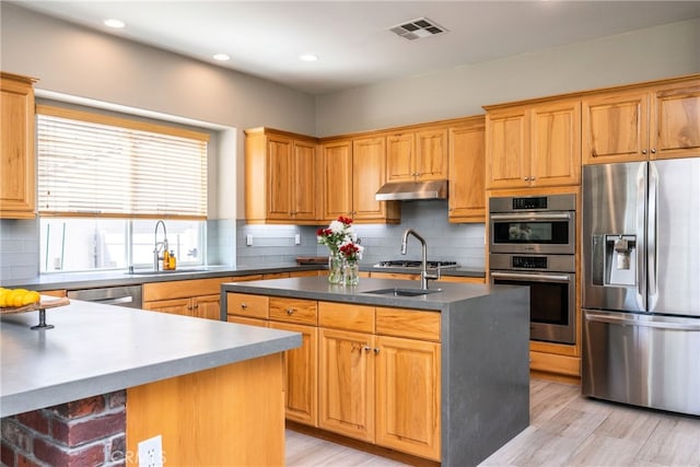 23840 Costa Mesa Way, Murrieta, CA 92562 - kitchen with stainless steel appliances, under cabinet range hood, a sink, tasteful backsplash, and light wood-style flooring