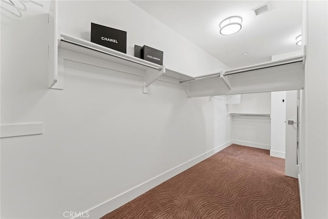 402 Rockefeller Unit 407, Irvine, CA 92612 - walk in closet featuring carpet