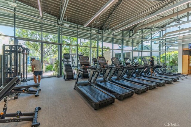 402 Rockefeller Unit 407, Irvine, CA 92612 - exercise room featuring carpet flooring, a high ceiling, expansive windows, and healthy amount of natural light