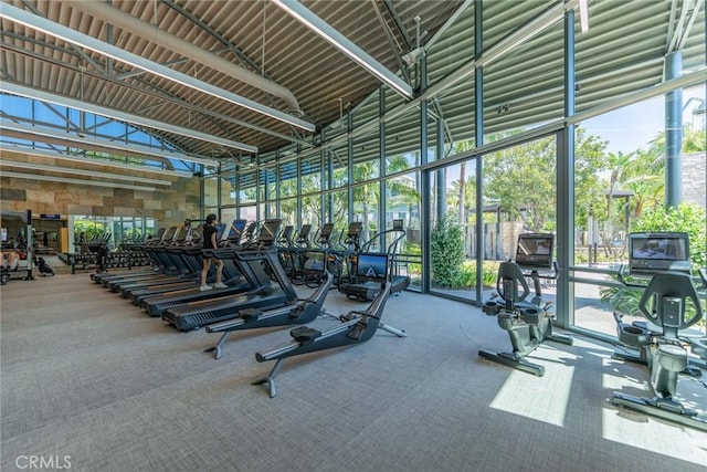402 Rockefeller Unit 407, Irvine, CA 92612 - exercise room featuring high vaulted ceiling, carpet, and floor to ceiling windows