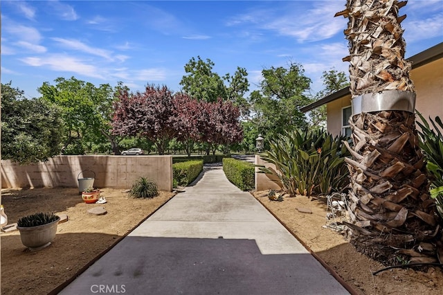 11576 Meridian Rd, Chico, CA 95973 - view of yard