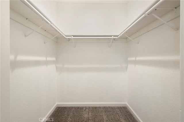 50 Walter Blume Ln, Oroville, CA 95966 - walk in closet featuring carpet