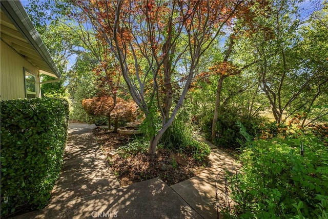 50 Walter Blume Ln, Oroville, CA 95966 - photo 32
