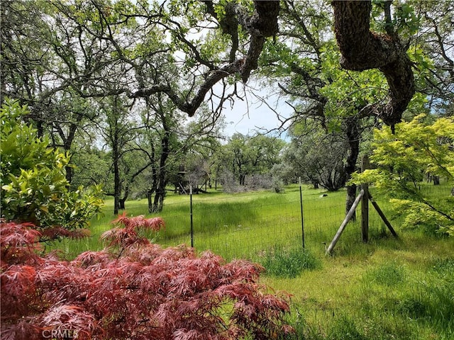 50 Walter Blume Ln, Oroville, CA 95966 - view of yard