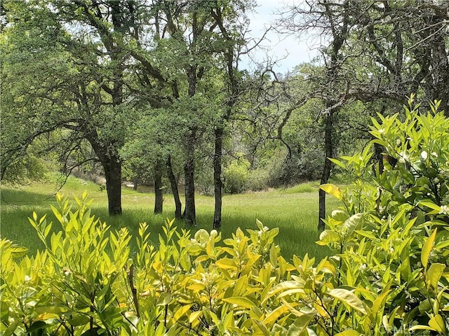 50 Walter Blume Ln, Oroville, CA 95966 - photo 50