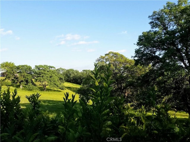 50 Walter Blume Ln, Oroville, CA 95966 - view of local wilderness