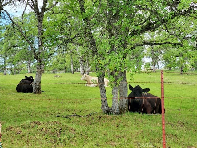 50 Walter Blume Ln, Oroville, CA 95966 - view of grassy yard with a view of countryside