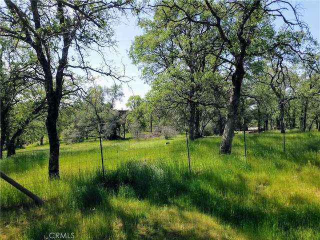 50 Walter Blume Ln, Oroville, CA 95966 - view of yard