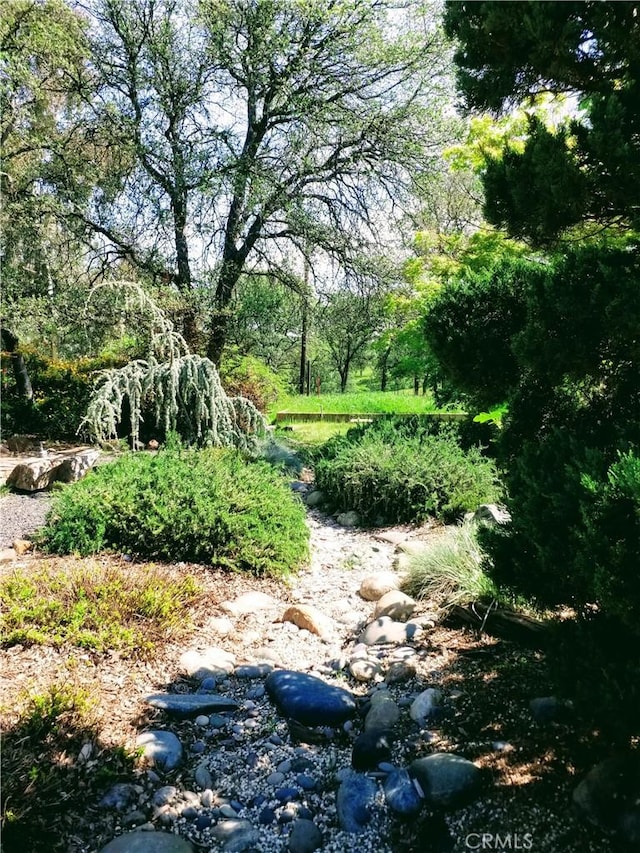 50 Walter Blume Ln, Oroville, CA 95966 - view of undeveloped land