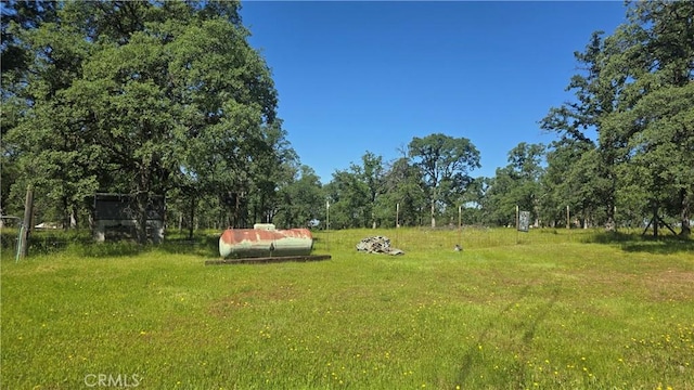 50 Walter Blume Ln, Oroville, CA 95966 - view of grassy yard