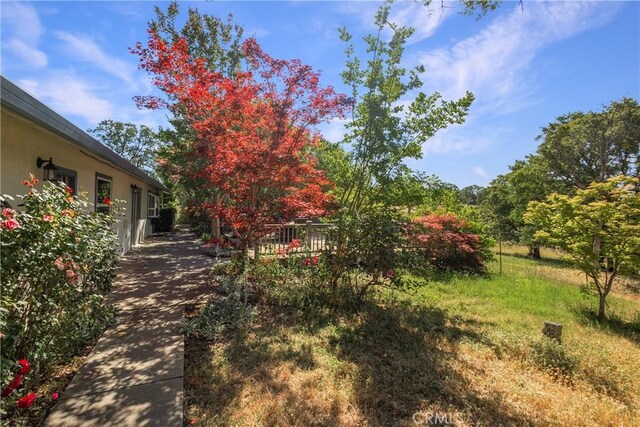 50 Walter Blume Ln, Oroville, CA 95966 - photo 42