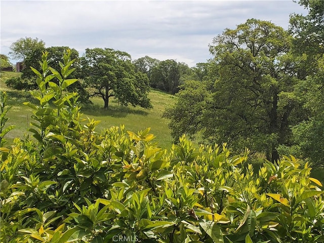 50 Walter Blume Ln, Oroville, CA 95966 - view of local wilderness