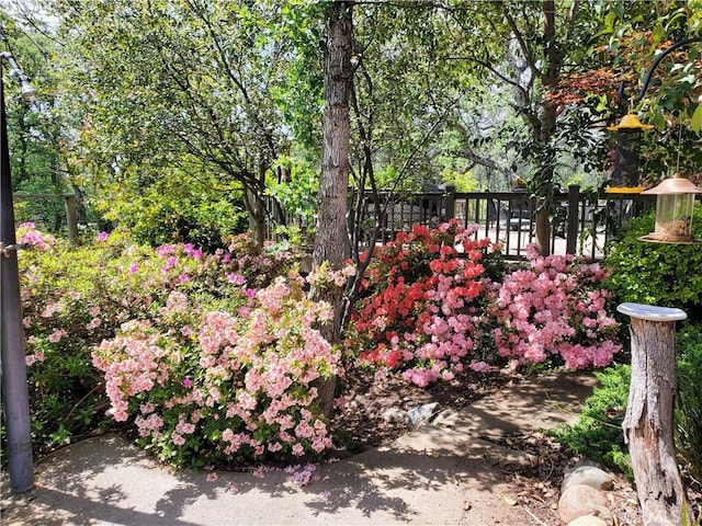 50 Walter Blume Ln, Oroville, CA 95966 - view of yard