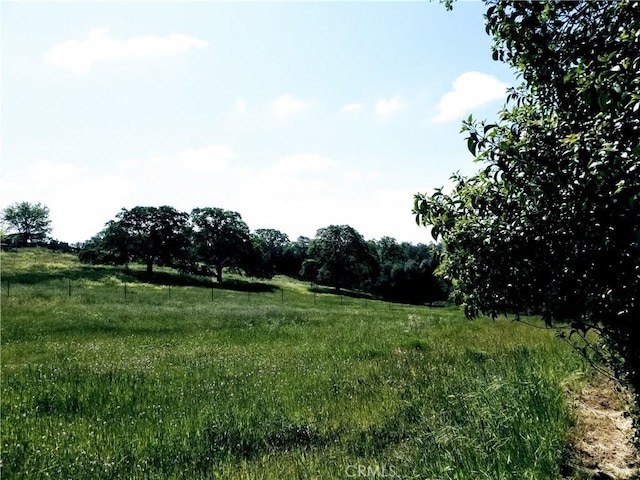 50 Walter Blume Ln, Oroville, CA 95966 - view of local wilderness with rural landscape