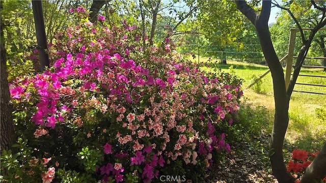 50 Walter Blume Ln, Oroville, CA 95966 - view of yard