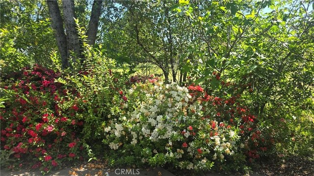 50 Walter Blume Ln, Oroville, CA 95966 - photo 30