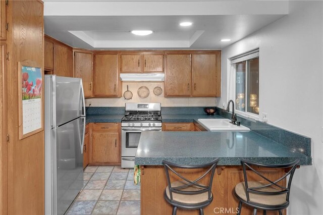 9945 Date St, Fontana, CA 92335 - kitchen with appliances with stainless steel finishes, under cabinet range hood, a sink, a peninsula, and a tray ceiling