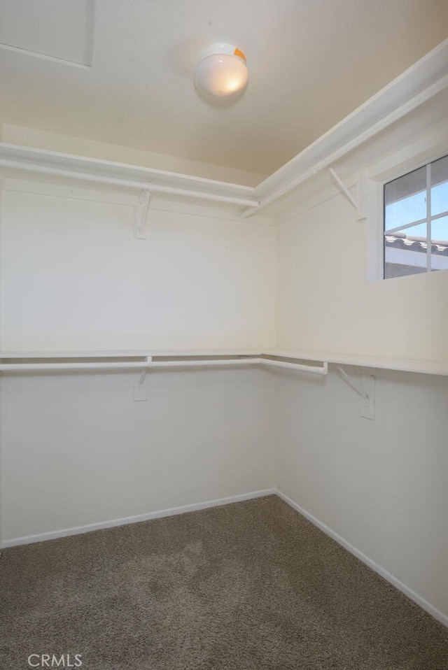 27292 Eagles Nest Dr, Corona, CA 92883 - spacious closet featuring carpet