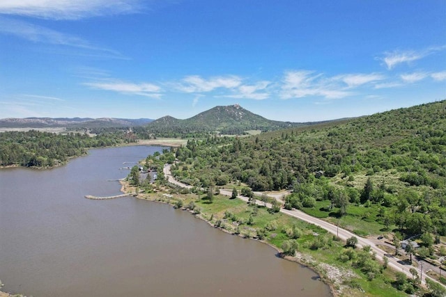 34387 Wolahi Rd, Julian, CA 92036 - drone / aerial view of a water and mountain view and a heavily wooded area