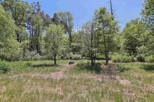 34387 Wolahi Rd, Julian, CA 92036 - view of undeveloped land