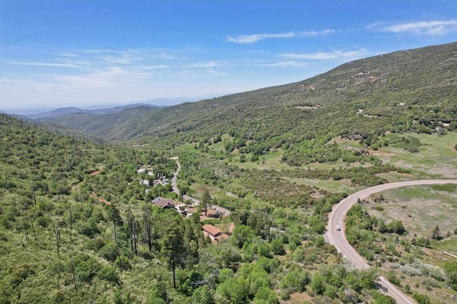 34387 Wolahi Rd, Julian, CA 92036 - bird's eye view of mountains and a heavily wooded area
