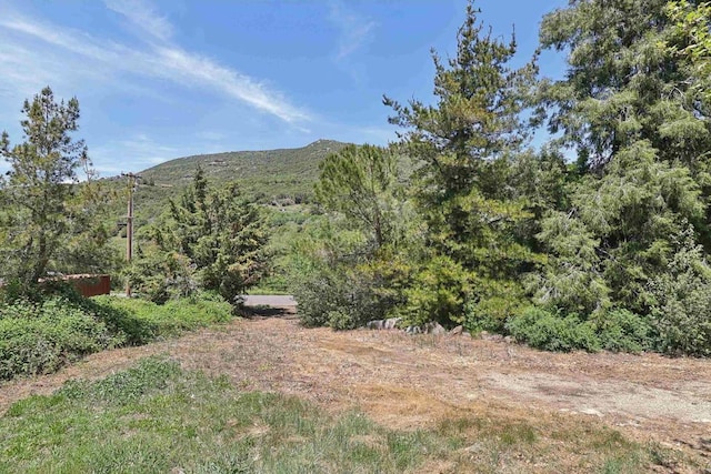 34387 Wolahi Rd, Julian, CA 92036 - view of mountain background featuring a forest