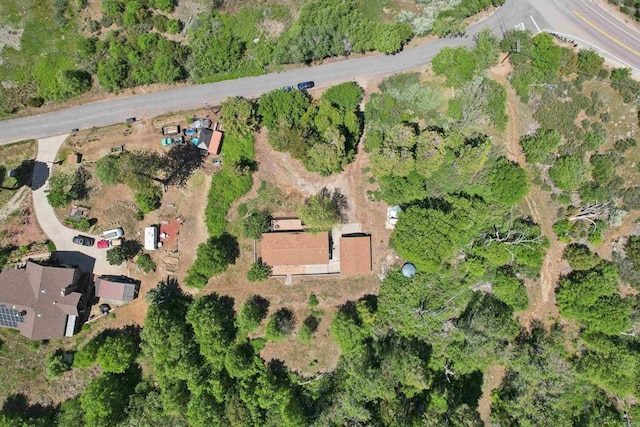 34387 Wolahi Rd, Julian, CA 92036 - view of property location