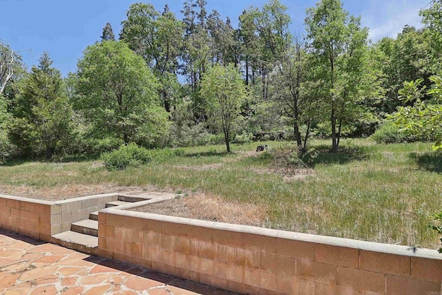 34387 Wolahi Rd, Julian, CA 92036 - view of yard