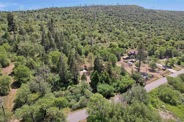 34387 Wolahi Rd, Julian, CA 92036 - aerial view of property and surrounding area with a forest