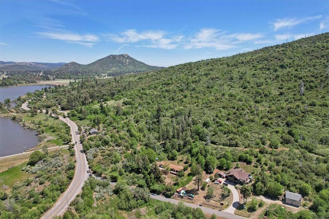 34387 Wolahi Rd, Julian, CA 92036 - aerial view of a forest and a water and mountain view