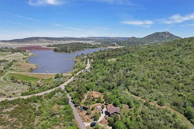 34387 Wolahi Rd, Julian, CA 92036 - drone / aerial view of a water and mountain view and a heavily wooded area
