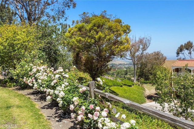4007 Calle Sonora Oeste Unit 1A, Laguna Woods, CA 92637 - view of yard