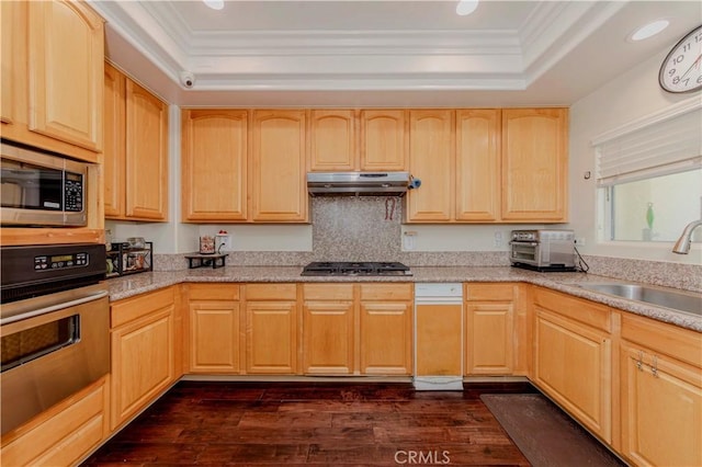 4489 Spencer St Unit 224, Torrance, CA 90503 - kitchen featuring stainless steel appliances, under cabinet range hood, a raised ceiling, light brown cabinets, and a sink