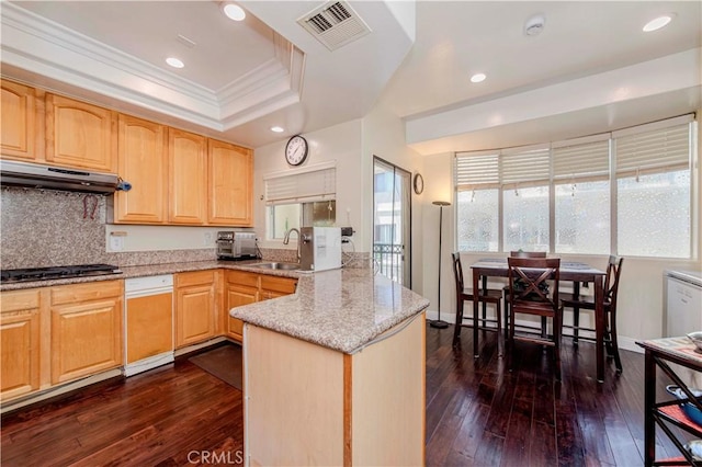 4489 Spencer St Unit 224, Torrance, CA 90503 - kitchen featuring dark wood finished floors, a peninsula, a sink, light brown cabinetry, and crown molding