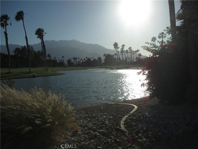 29161 Isleta Ct, Cathedral City, CA 92234 - photo 56