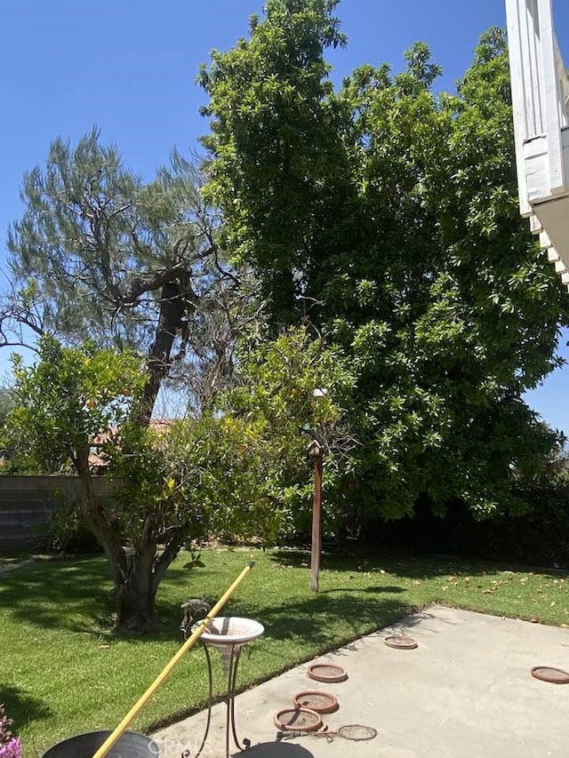 11760 Nelson St, Loma Linda, CA 92354 - view of green lawn with a patio