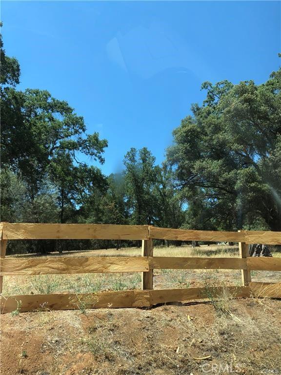 9275 Sheep Ranch Rd, Mountain Ranch, CA 95246 - view of yard