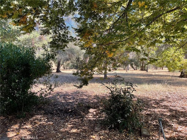 9275 Sheep Ranch Rd, Mountain Ranch, CA 95246 - view of yard