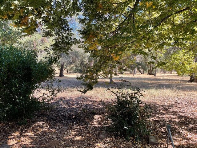 9275 Sheep Ranch Rd, Mountain Ranch, CA 95246 - view of yard