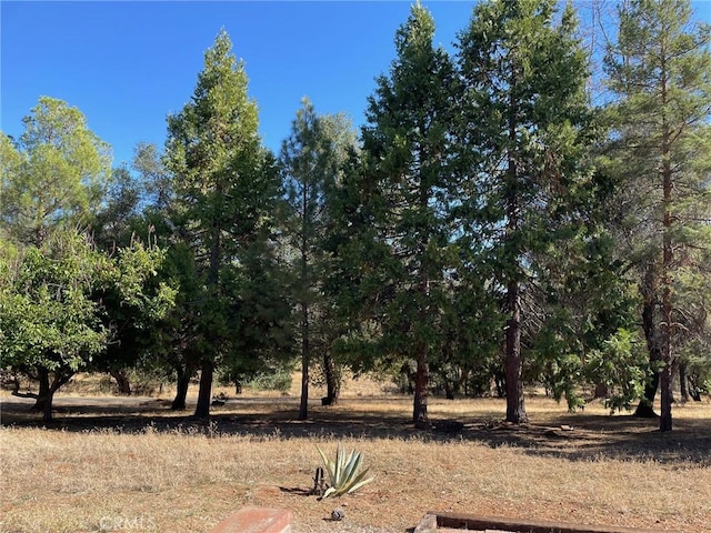 9275 Sheep Ranch Rd, Mountain Ranch, CA 95246 - view of nature