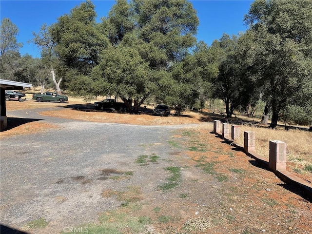 9275 Sheep Ranch Rd, Mountain Ranch, CA 95246 - view of road