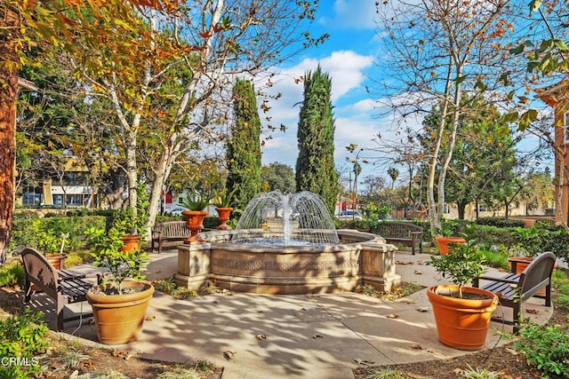 433 N Altadena Dr Unit 4, Pasadena, CA 91107 - view of patio