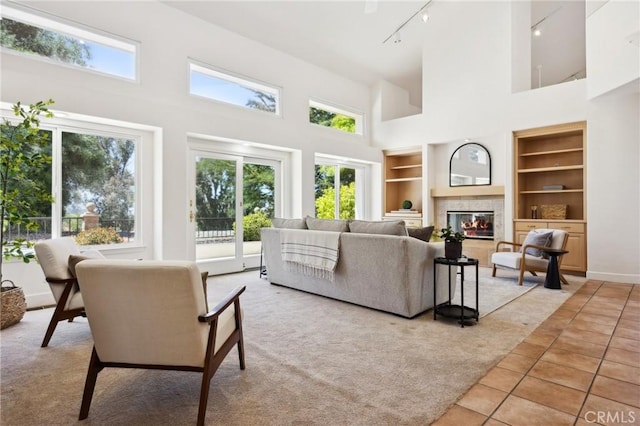 993 Las Palmas Way, San Luis Obispo, CA 93401 - living area with track lighting, a high ceiling, built in shelves, healthy amount of natural light, and light colored carpet
