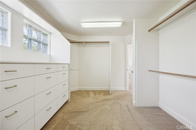 993 Las Palmas Way, San Luis Obispo, CA 93401 - spacious closet featuring light carpet