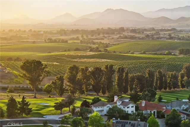 993 Las Palmas Way, San Luis Obispo, CA 93401 - mountain view featuring rows of crops and rural landscape