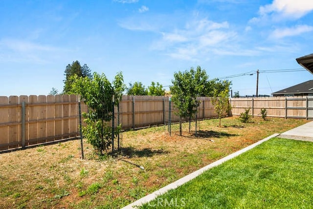 5540 Scottwood Rd, Paradise, CA 95969 - view of yard