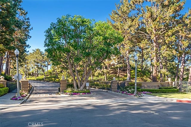 20 Fecamp, Newport Coast, CA 92657 - view of asphalt road featuring a gate, street lights, curbs, and a gated entry